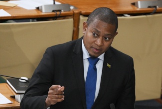 Minister of Agriculture, Fisheries and Mining, Hon. Floyd Green, addresses a recent sitting of the House of Representatives.
