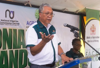 Chief Executive Officer (CEO) of the Agro- Investment Corporation, Vivion Scully.