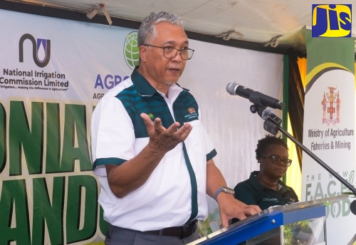 Chief Executive Officer (CEO) of the Agro- Investment Corporation, Vivion Scully.