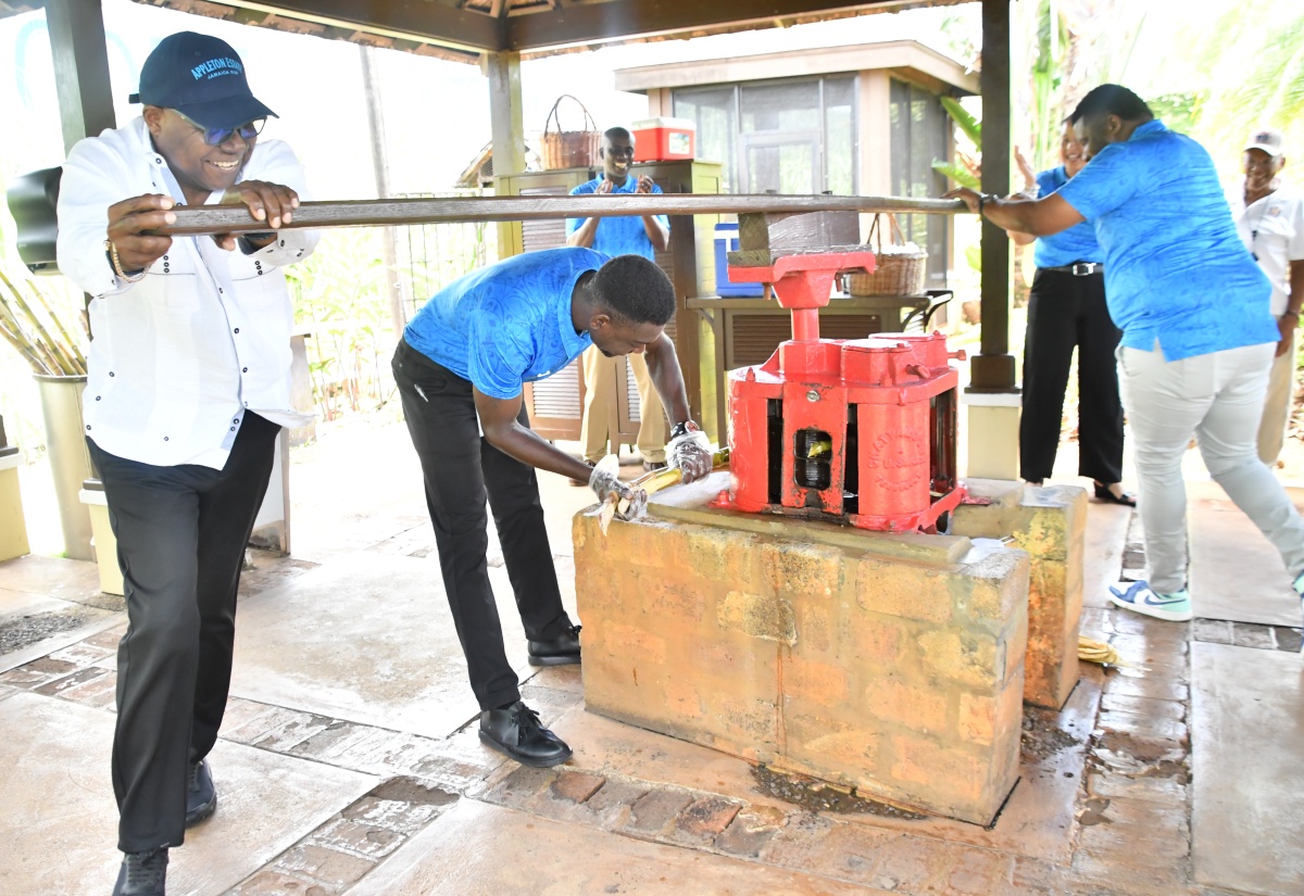 South Coast Tourism Post-Hurricane Revival Highlights Jamaica’s Overall Industry Resilience