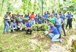 Volunteers from the Sandals Foundation, Jamaica Fire Brigade and the Forestry Department share a moment after participating in a tree-planting exercise at the Bogue II Forest Reserve in Ocho Rios, St. Ann, on April 17, under the national Reforestation, Ecological Enhancement and Landscape Framework (RE‑LEAF) Programme.

