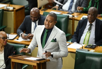 Minister of Agriculture, Fisheries and Mining, Hon. Floyd Green, emphasises a point while making his 2026/27 Sectoral Debate presentation in the House of Representatives on Wednesday (May 13).
