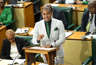 Gov’t to Advance Blue Economy with Sea Moss Focus