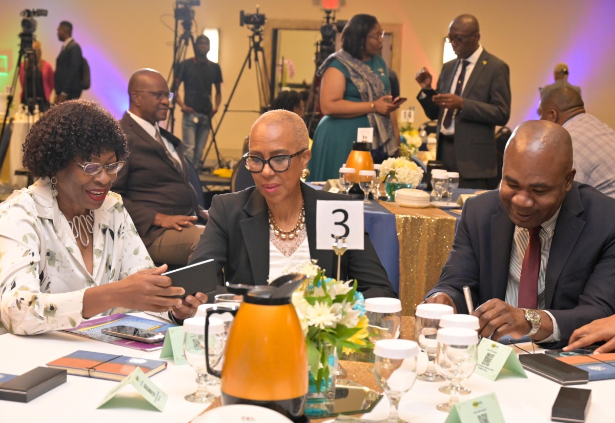 Business Continuity Must Be Priority for All Public-Sector Entities – Finance Minister