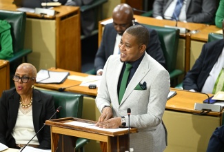 Gov’t Unveils Draft 10-year Agricultural Development Plan