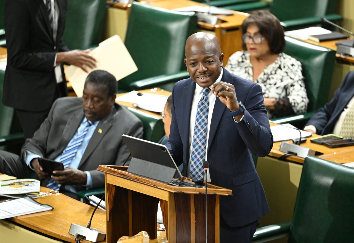 Gov’t Embarking on Phase II of Roofs Programme