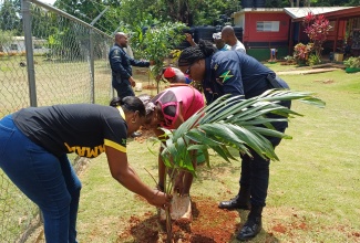 Head of the Guanaboa Vale Police in St. Catherine, Sergeant Navelette Davis-Leachman (right), along with Principal of the Paul Mountain Primary and Infant School, Sheryl Thomas Lawes (left), and Paul Mountain resident, Deloris Plummer, plant palm trees along the school