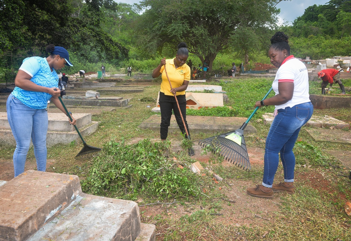 Strong Turnout for St. Catherine Parish Project