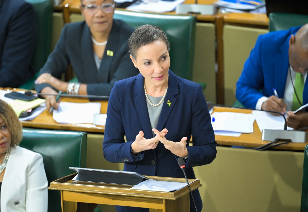 Senator Passes Cybercrimes (Amendment) Act
