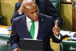 Minister of Industry, Investment and Commerce, Senator the Hon. Aubyn Hill, speaking on the National Reconstruction and Resilience Authority (NaRRA) Bill in the Senate on May 8.
