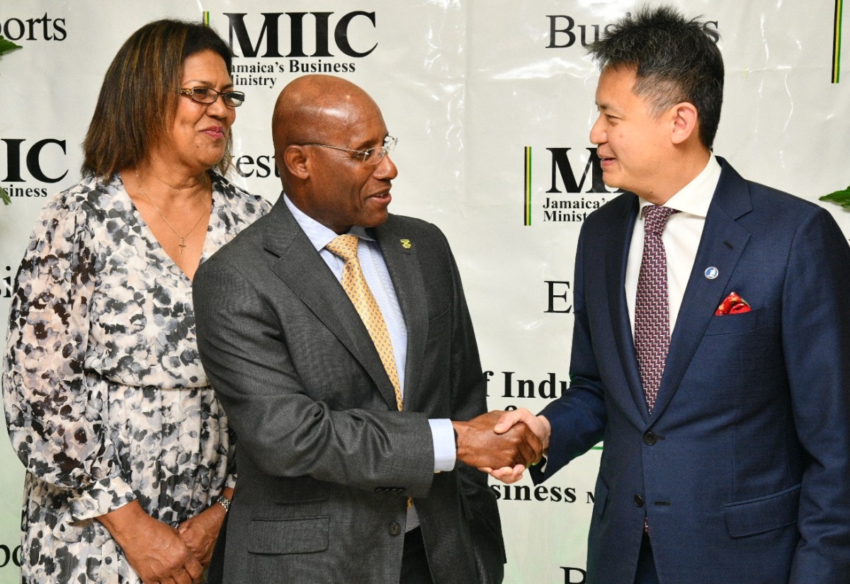 Jamaica Working With WIPO To Strength IP Protection