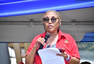 Team Lead for the Ministry of Health and Wellness