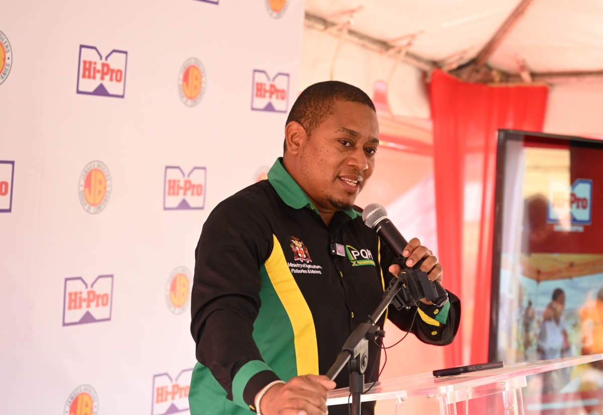 Government Provides 100,000 Baby Chicks to Farmers