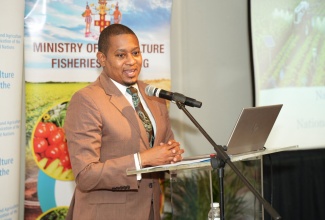 Minister of Agriculture, Fisheries and Mining, Hon. Floyd Green, addresses a validation workshop for the National Development Plan at the ROK Hotel Kingston on Thursday, May 21.
