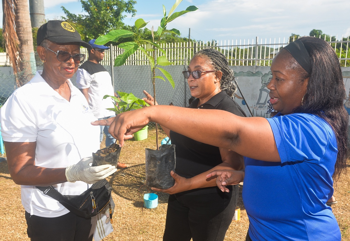 Gordon Pen Apostolic Basic School Playground Cleaned and Beautified