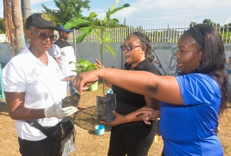 Chairman of the St. Catherine Justice of the Peace Association - Central Zone (SCJPAJ) and President of JN Circle Spanish Town Chapter, Kaydia Clair (centre), along with Justices of the Peace (JP) Beulah Bartholomew (left) and  Bernice McLean, discuss the strategic placement of trees to enhance the playground at the  Gordon Pen Apostolic Basic School, during Labour Day activities at the institution in Spanish Town, St. Catherine on Monday (May 25).