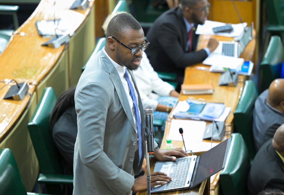 Senate Passes Cybercrimes (Amendment) Act
