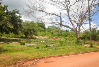 The Barry and Lloyd Cemetery in Kitson Town is the Labour Day 2026 Parish Project for St. Catherine.