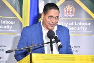 Minister of State in the Ministry of Labour and Social Security, Hon. Donovan Williams, addresses the Ministry
