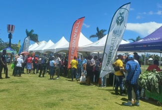 Farmers and other stakeholders take advantage of the services available during the Ministry of Agriculture, Fisheries and Mining