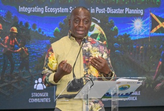 Minister without Portfolio in the Ministry of Economic Growth and Infrastructure Development with Responsibility for Land Titling and Settlements, Hon. Robert Montague, makes his contribution to the 2026/27 Sectoral Debate in the House of Representatives on June 9.