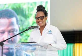 Executive Director of the Jamaica Council for Persons with Disabilities (JCPD), Dr. Christine Hendricks. 