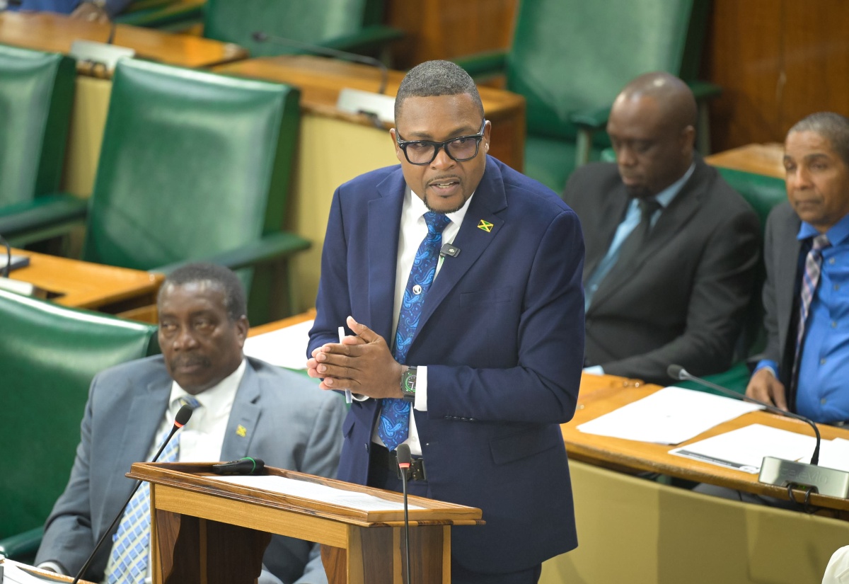 Gov’t Targets 55 Structures Under Accelerated Bridge Programme