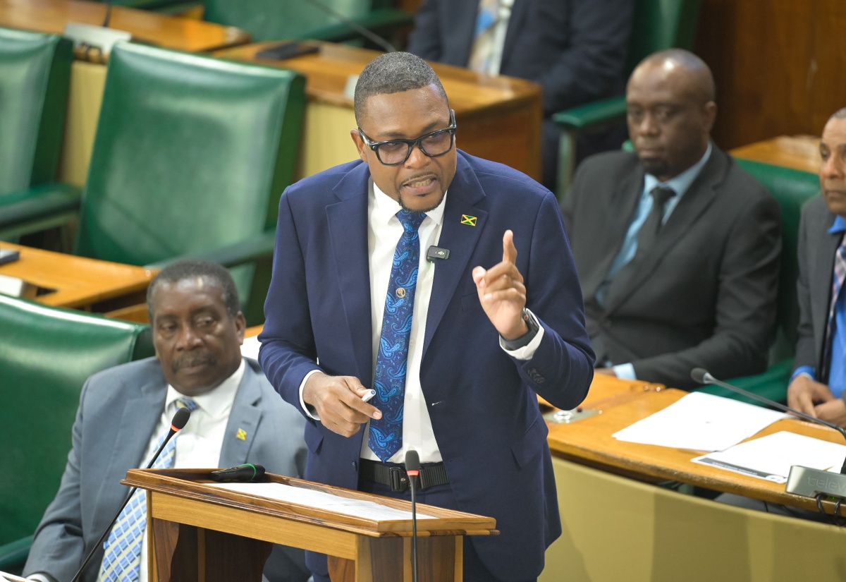 Minister of Economic Growth and Infrastructure Development with responsibility for Works, Hon. Robert Nesta Morgan, makes his contribution to the 2026/27 Sectoral Debate, in the House of Representatives on Wednesday (June 17).