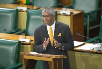 Government Senator, Kavan Gayle, addresses Friday's (June 26) sitting of the Senate at Gordon House.