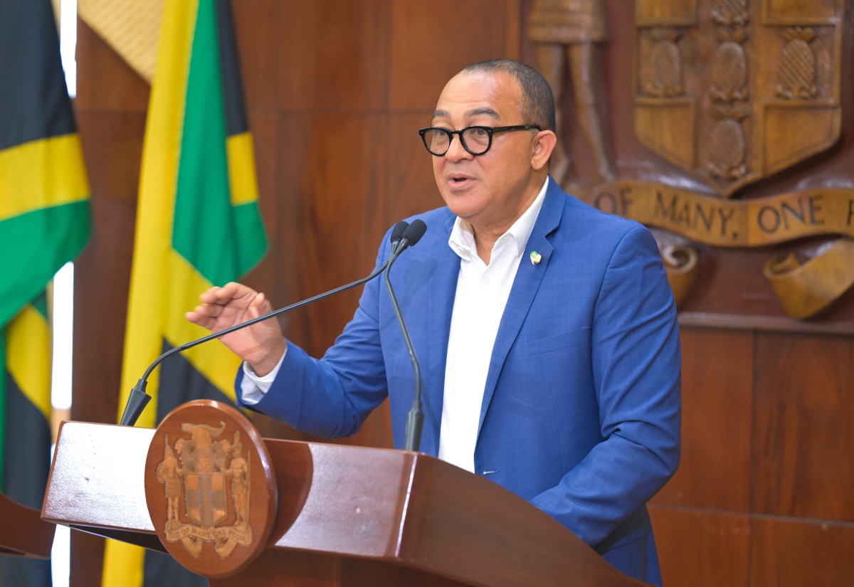 Minister of Health and Wellness, Dr. the Hon. Christopher Tufton, addresses Wednesday
