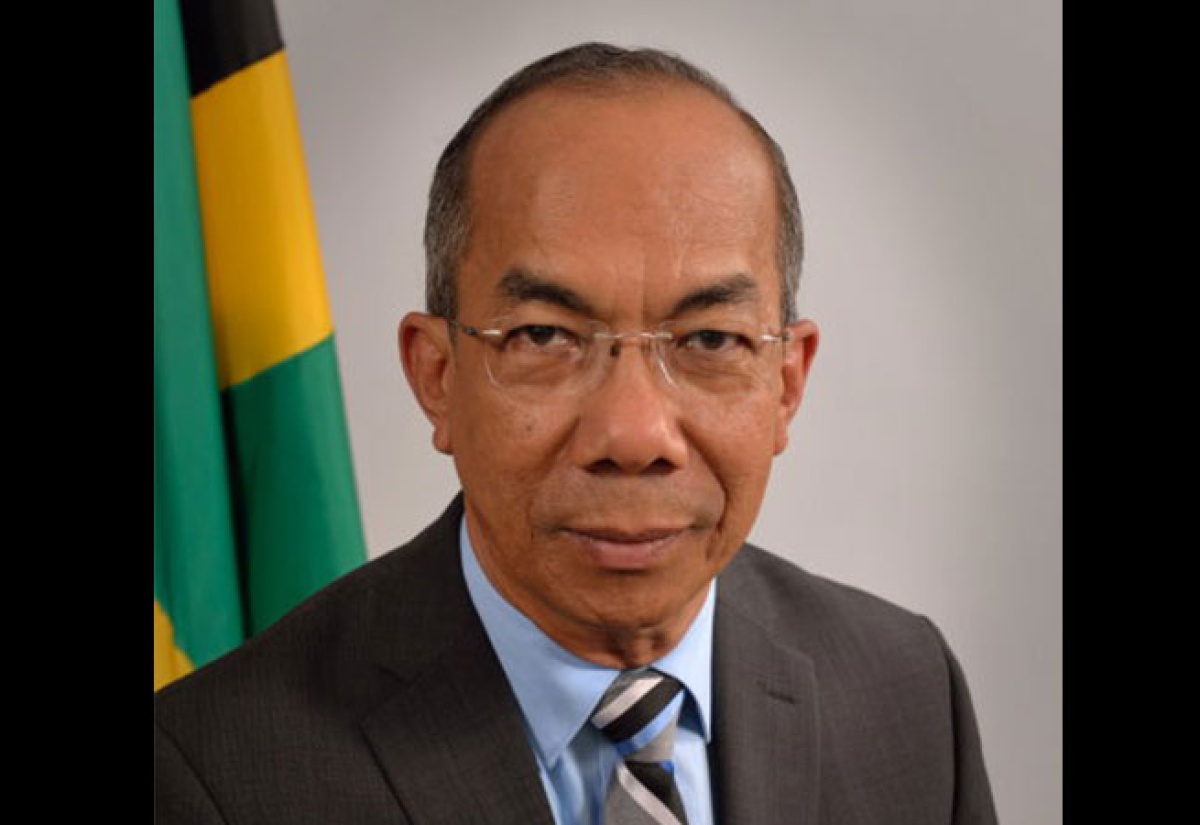 Minister of National Security and Peace, Hon. Dr. Horace Chang
