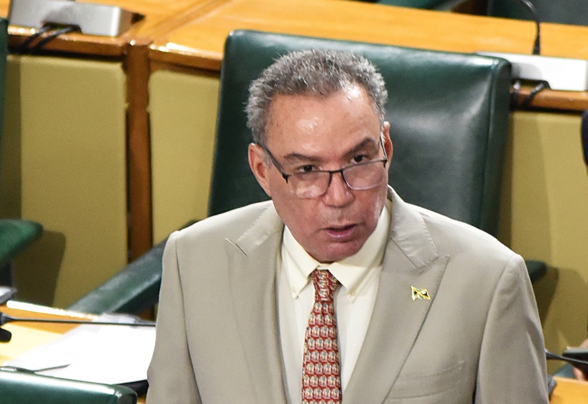 Minister of Energy, Transport and Telecommunications, Hon. Daryl Vaz, addresses the House of Representatives on Tuesday (June 9).
