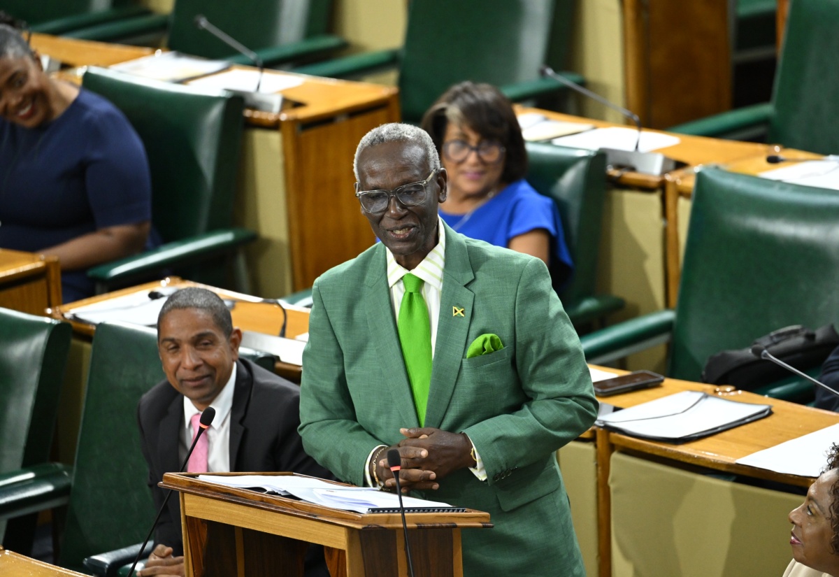 Gov’t Allocates Millions for Critical Road Repairs & Special Drain Cleaning