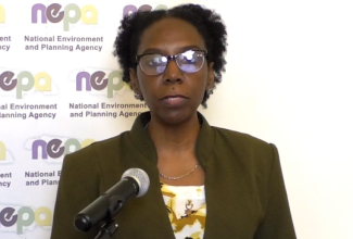 NEPA Stages Several Activities to Observe National Environmental Awareness Week