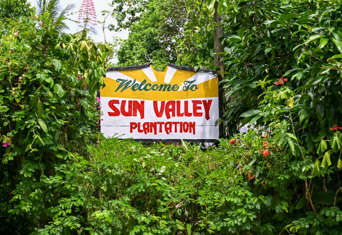 Newly Rehabilitated Roadway in St. Mary to Boost Heritage Tourism and Community Development
