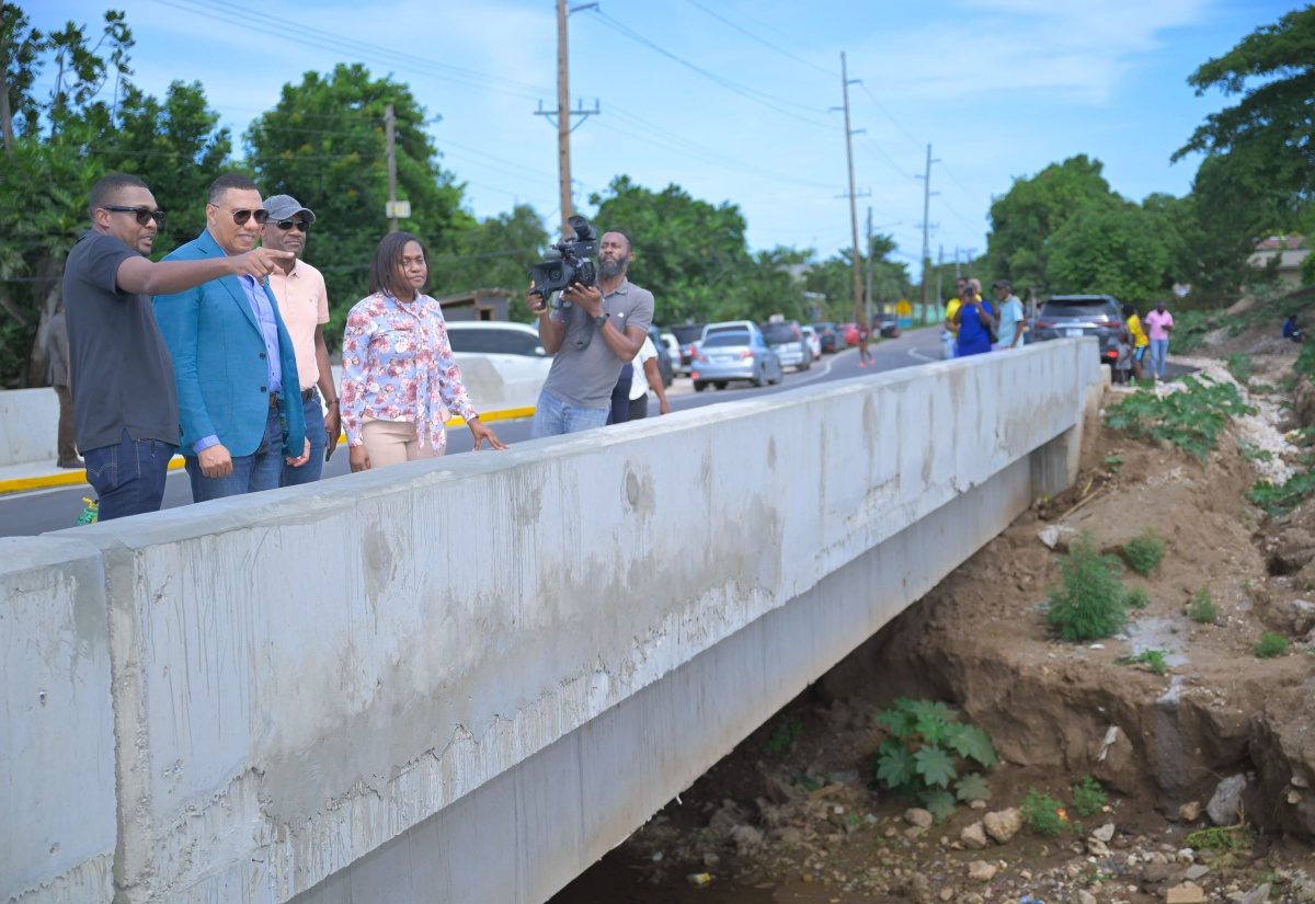 PM Opens New Spring Village Bridge