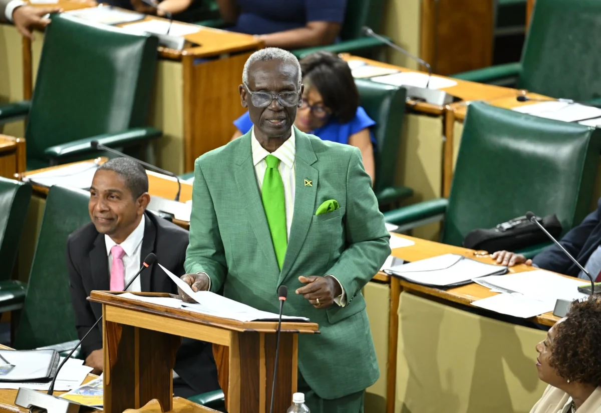 Minister of Local Government and Community Development, Hon. Desmond McKenzie, makes his contribution to the 2026/27 Sectoral Debate in the House of Representatives on Wednesday (June 3).