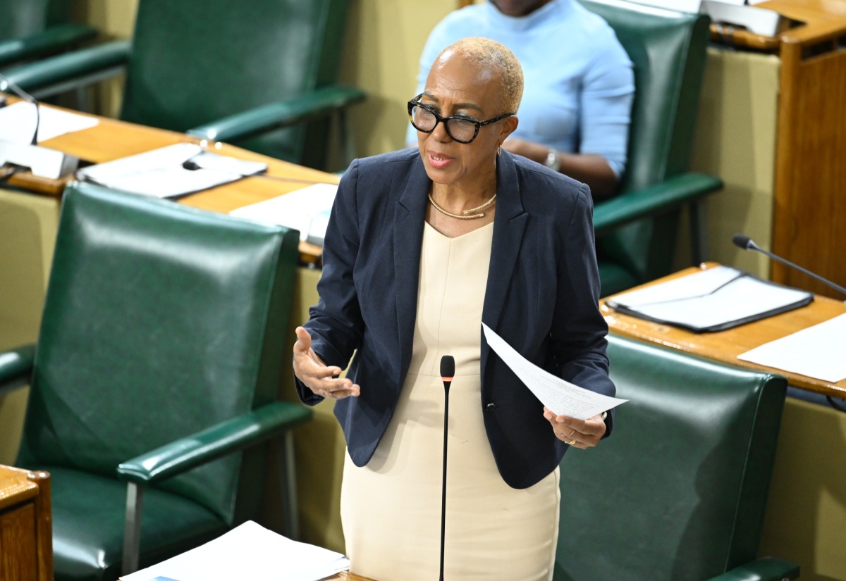 JSE Micro Market Represents Transformative Opportunity for Micro and Small Enterprise Sector – Minister