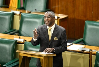 Senator, Kavan Gayle, addresses Friday’s (July 10) sitting of the Senate at Gordon House.