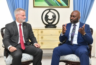 Minister without Portfolio in the Office of the Prime Minister with responsibility for Science, Technology and Special Projects, Dr. the Hon. Andrew Wheatley (right), in conversation with Ambassador of the Federal Republic of Germany to Jamaica, His Excellency, Jan Hendrik van Thiel, during a courtesy call at Jamaica House on July 21.
