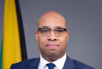 State Minister in the Ministry of Industry, Investment and Commerce, Hon. Delano Seiveright.

