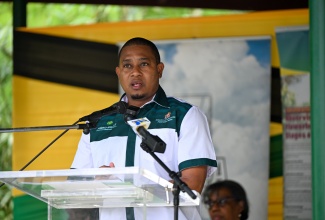 Minister of Agriculture, Fisheries and Mining, Hon. Floyd Green, delivers the keynote address during the handover and reopening ceremony for the Castleton Botanical Gardens in St. Mary on July 1. 
