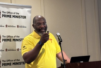 Consultant, National Animation Policy Green Paper 2026-2036, D'Oyen Williams, addresses the National Animation Policy Green Paper 2026-2036 Public Consultation at ROK Hotel in downtown Kingston, on Monday (August 24).
