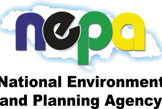NEPA Receives 2,430 Development Applications in 2025