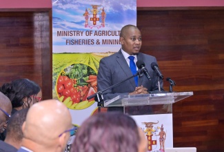 Minister of Agriculture, Fisheries and Mining, Hon. Floyd Green, speaks at a media briefing at the Ministry’s Office in Kingston, on Tuesday (September 22).
