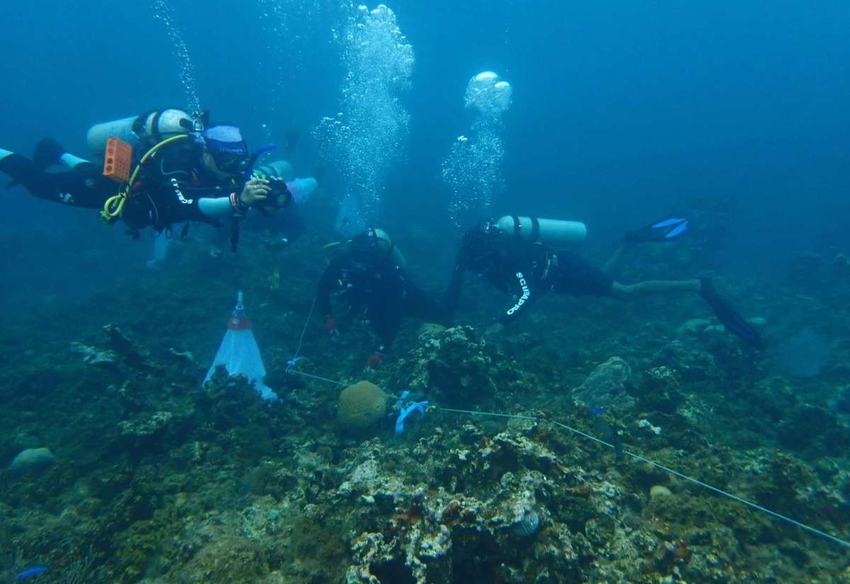 NEPA Begins Coral Spawning Observation Dives