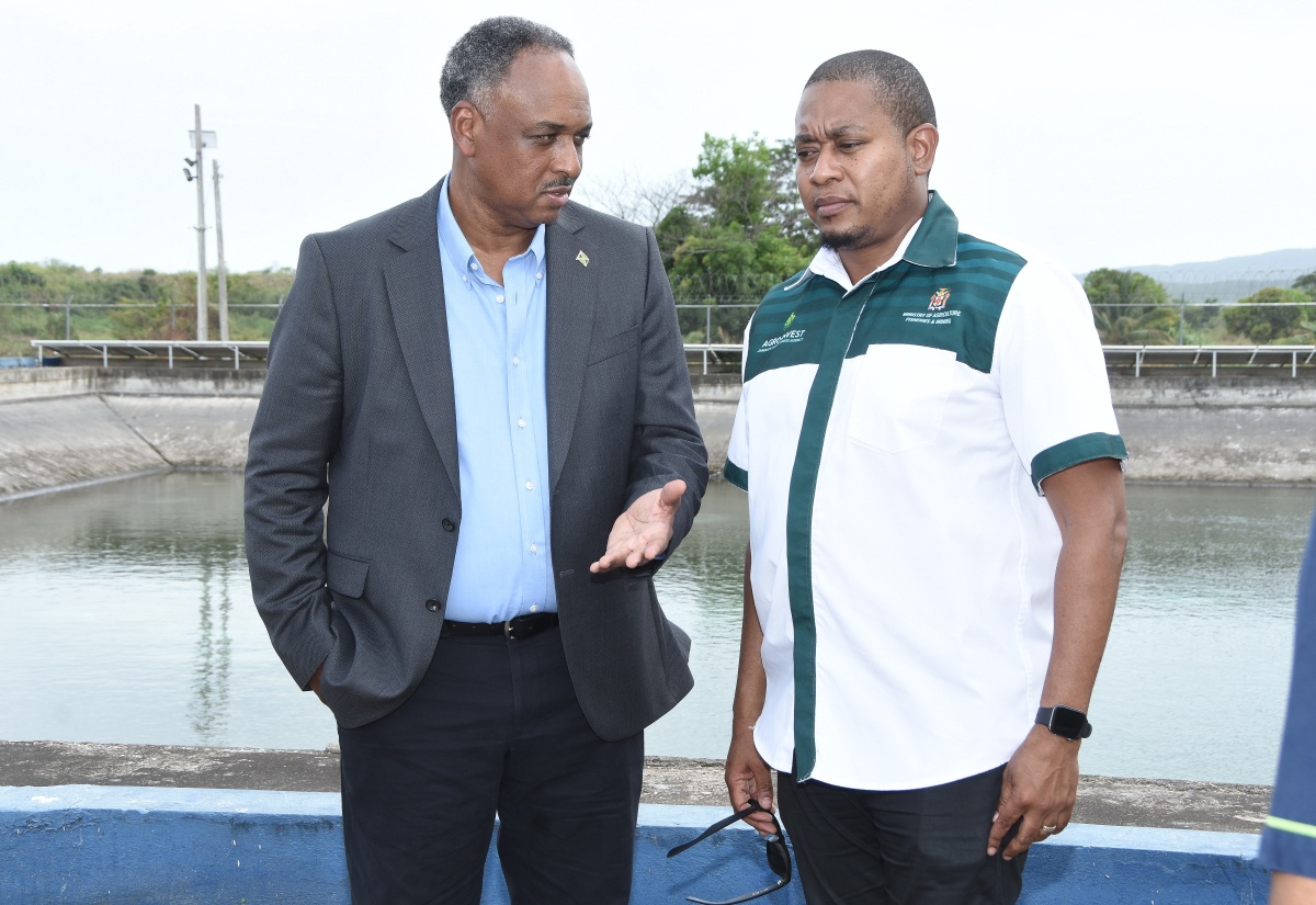Improved Irrigation Service to Agro-Parks In Clarendon Under REDI-II Project