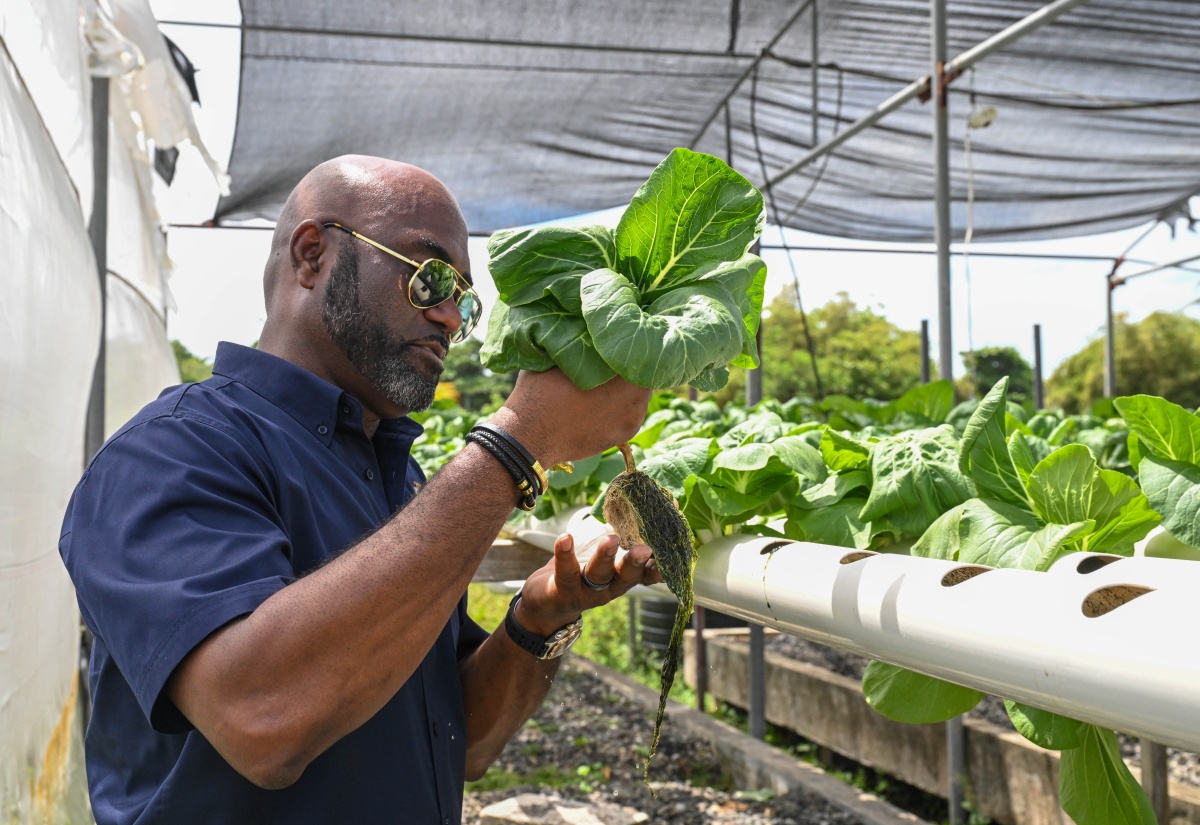 CASE Being Positioned as Key Player to Advance Agricultural Research – Minister