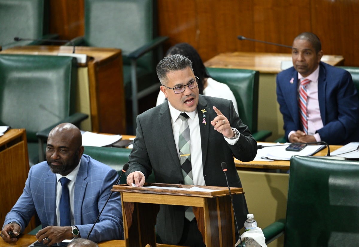 St. Ann’s Bay Library to Become Marcus Garvey Library and Museum