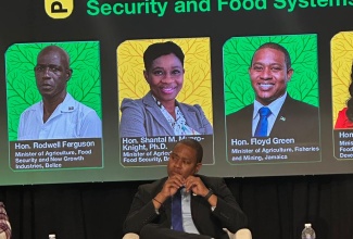 Minister of Agriculture, Fisheries and Mining, Hon. Floyd Green, listens to questions during a plenary session at the 20th staging of the Caribbean Week of Agriculture, being held at the Ocean Coral Spring Resort in Trelawny from September 27 to October 2.
